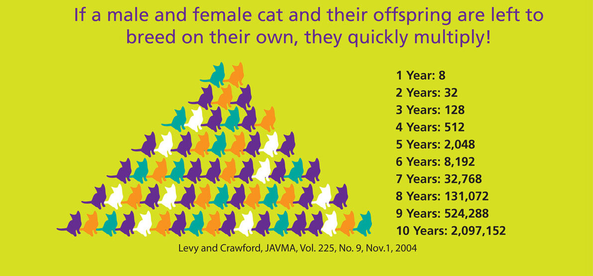 Chart, cat reproduction rate